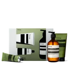 Eine bernsteinfarbene Pumpflasche und zwei grune Tuben, davon
eine liegend, sind vor einer olivgrunen und silbergrauen Aesop-Schachtel
arrangiert.