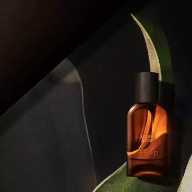 Einzelne bernsteinfarbene Aesop-Flasche, in warmes Licht getaucht, gerahmt von geschwungenen, blattartigen Formen in Dunkelgrun, Creme und Schwarz.