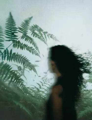 Unscharfes Profil einer Person mit dunklem Haar zwischen grunen Farnen, vor beschlagenem Glas und kuhl gestreutem Tageslicht.